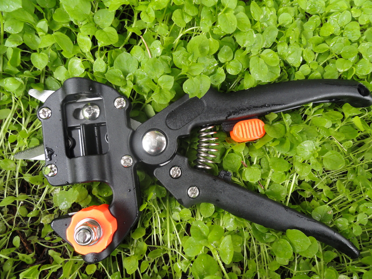 ��� ���������. ����������� ������� Professional Grafting Tool c 3 ���������. ���� ����� ���������� ��� ����� ���� ����