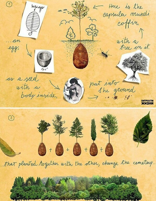 � ����������