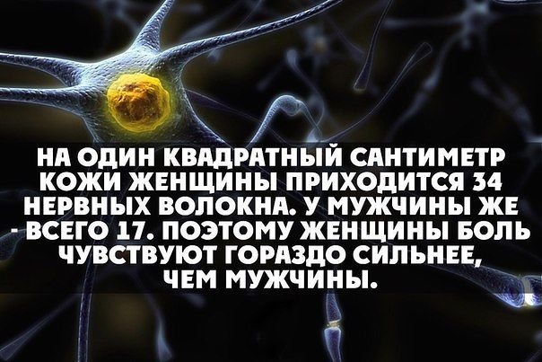 ������ ������ ���� ������