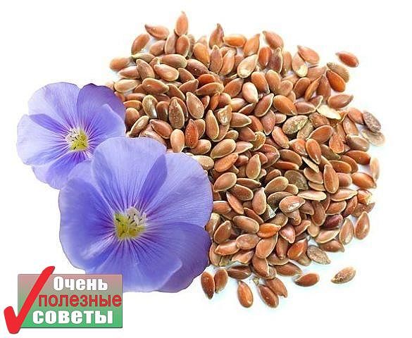 ������������� �������� ��� ����