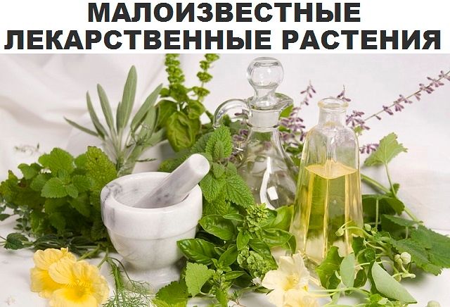 ������������� ������������� ��������