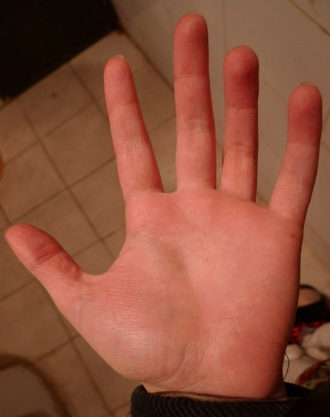 ��������� ����