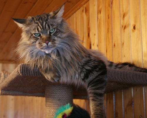 � ����, � ����