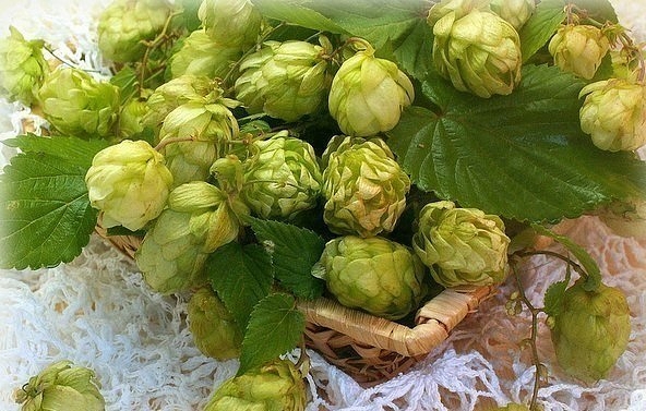 ��������������, �� ������� ���