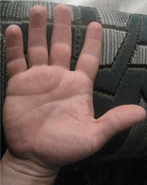 ������ ����