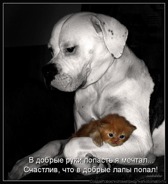 �������� ����� � �������� �����..