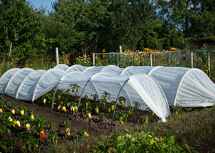 ������� ���������� � ����� ��� ������� ������� �������