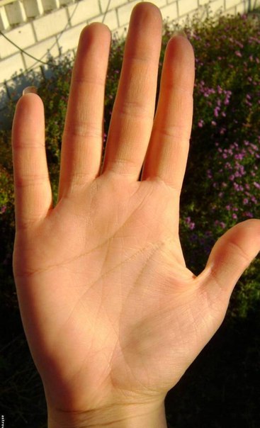 ������ ����