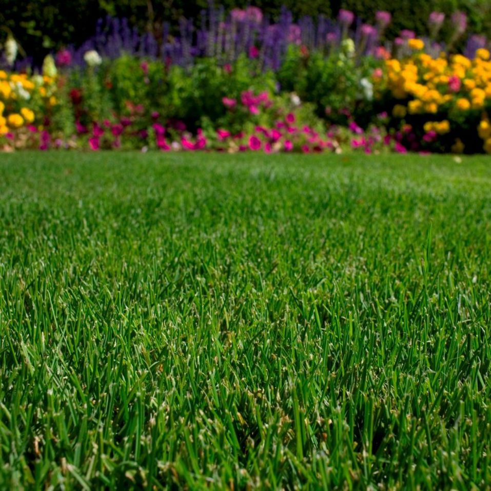 �������� �����! ������������ ������� ������ �� ����� �������!