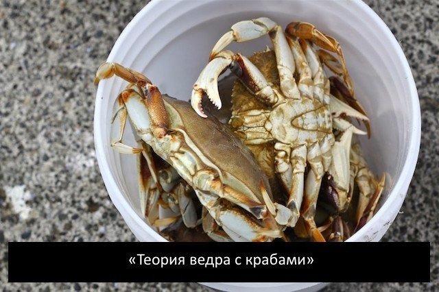 ���� ����� �������� �����, ���������� crab bucket theory ������ ����� � �������