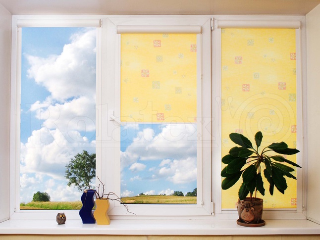 ����������� ����, �������� �������, ������