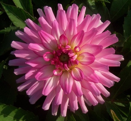 ���������� ����������, ���������, ����������� � ������ �������� ���������))))