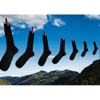 ���� �������. ����� ��� ������ � ������ �� 11 ������.