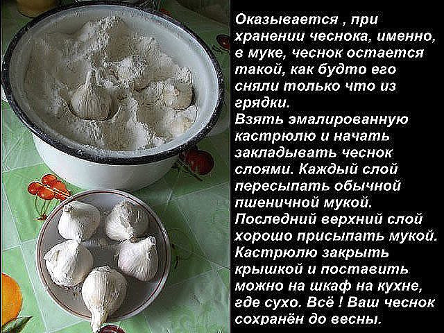 ��� ������� ������