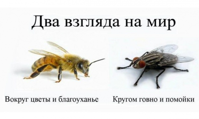 �� ������� ������ ��, ��� ����...