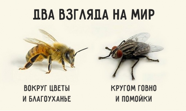 ��� ������� �� ���