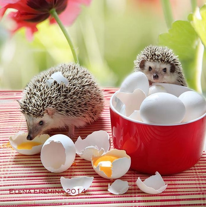 �����, ������� ������� ��� ����!