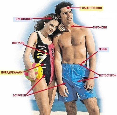 ��� ����� ������ ������� � ����� ��� ��� �����