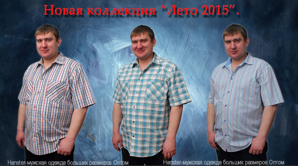 ���� �������. ������ ��� ������������ ������! ������ ����� ��������� �������! ������� � 60-86! ������, ������, ������ �����.