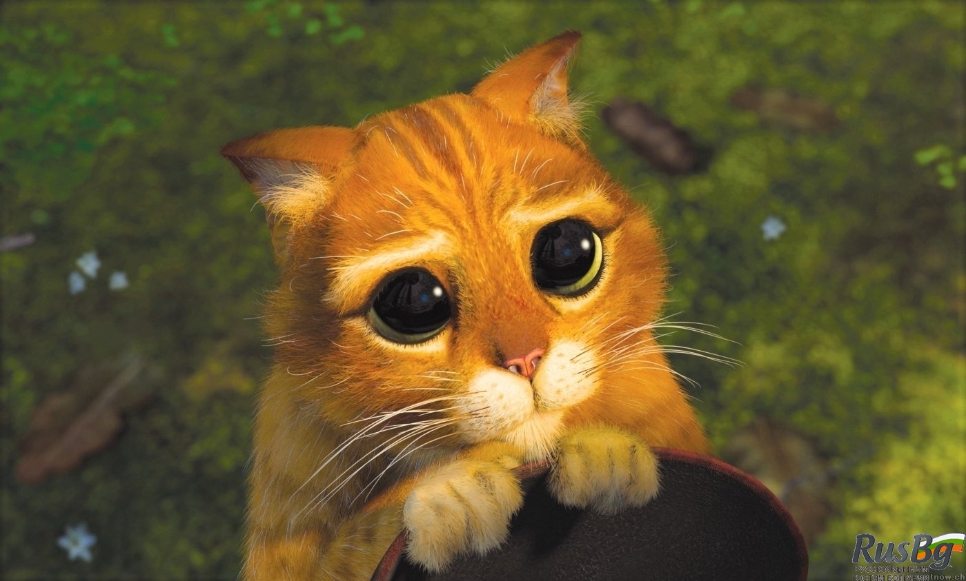 ������. ���������� ������������������ ��������� ����� �� Brubeck