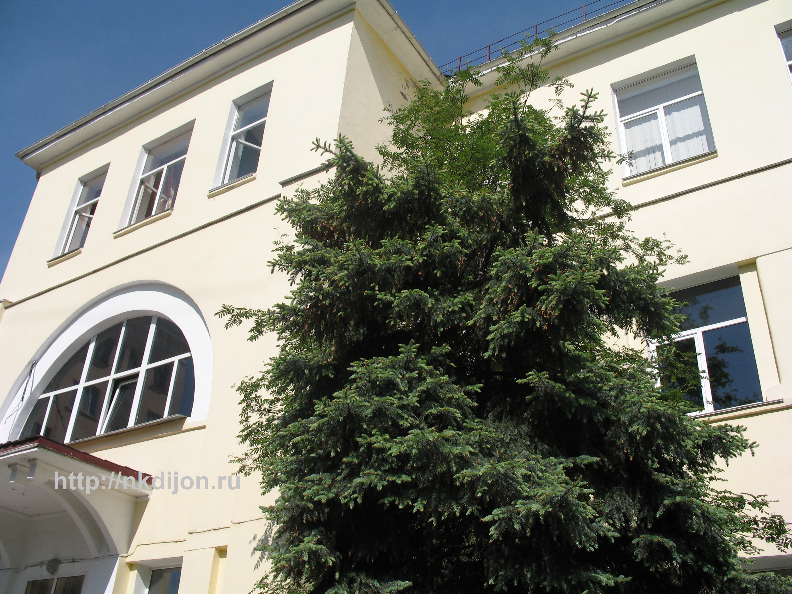 ������������, ���������������� � �����������!