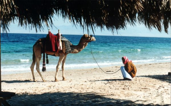 ���������� �������� ����� ���ģ��� ������������� �� ������� ���������� ���