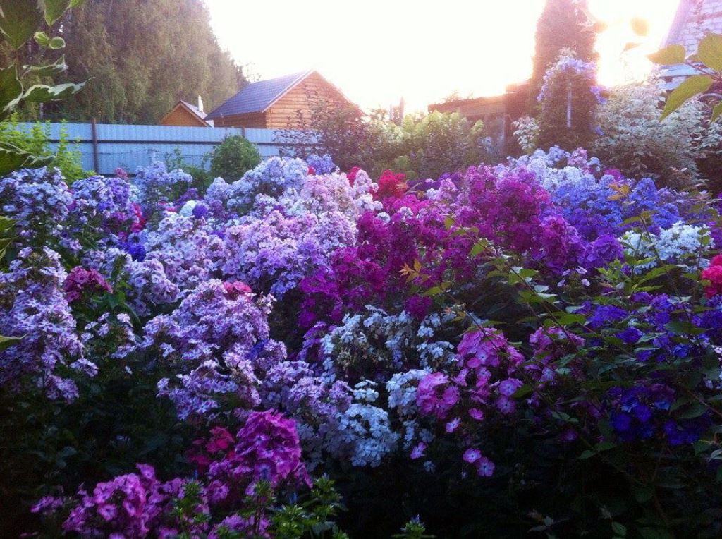 ������ �� ������������� ����������.