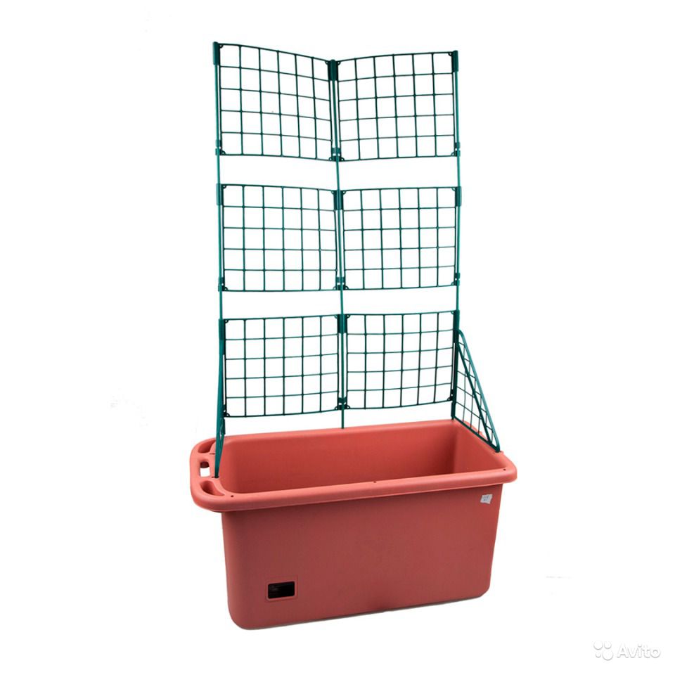 ���� �������. �.�.�.�.�.�.�. ���������� - � ���������� ��� ��������. ����������� ���!!!