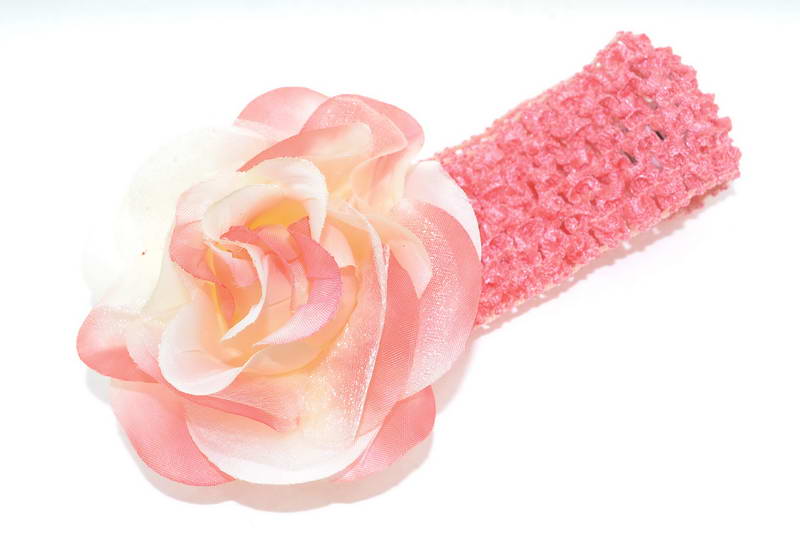 ���� �������. ���������� ��� �����, �������, ������, �������, ���������, �������, �������, �����, ��������� � �� ������.