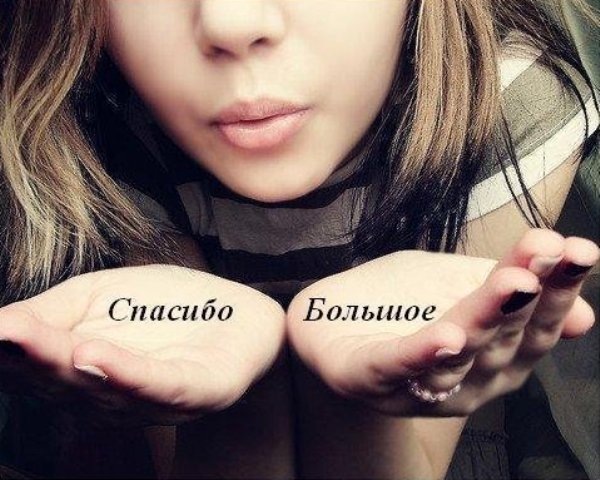 �������������.