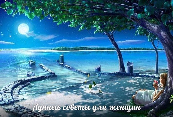 ������ ������ ��� ������