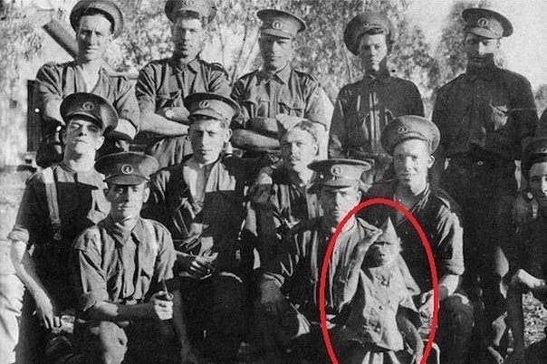 ������ ����� - ������� �������� �������