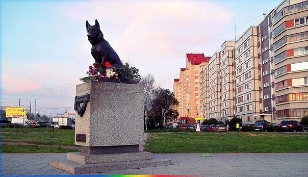 �������� ����������� � ��������