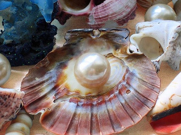 ��� ������