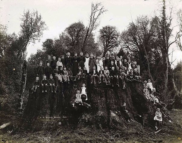 ������������ ����, 1890� ��