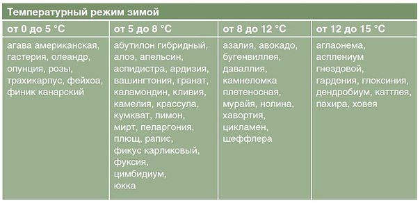 ��� ����������� ����� ��������� ���������