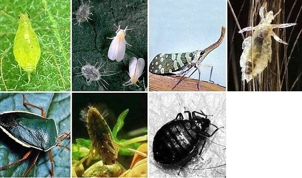 ��� �������� � ����������� � ��������� �������� ��� �����