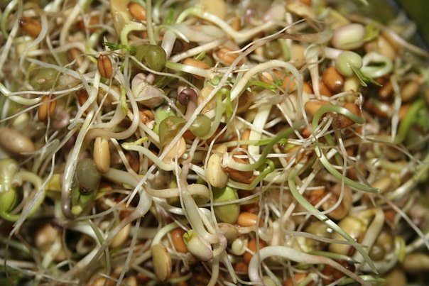 ��������� ������� ������, �������, ��� ��� ����