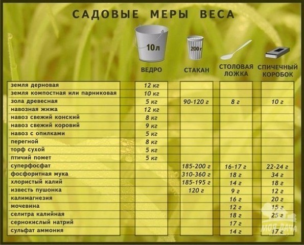 ������� ���� ����