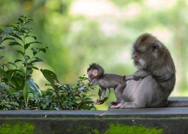 ���� �� ��������� ������� ������ ����� ����� � ������