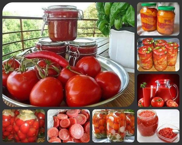 10 ��������� �� �������