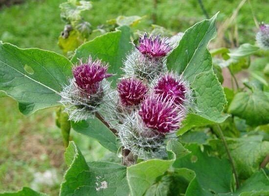 ����� - ������� �������� � ��������� �����