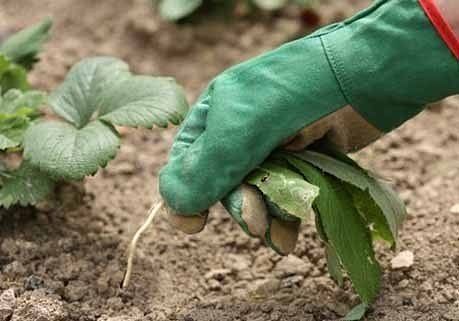 7 �������� ���� ������