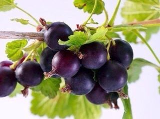 ����� - ��������� � ��������� ��� � �����