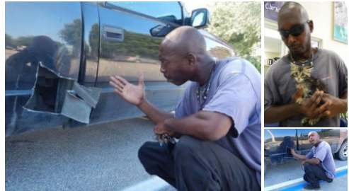 ��� ������ � ��� �����