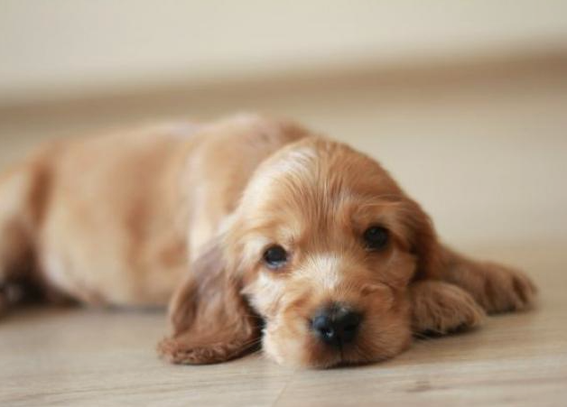 �����������������