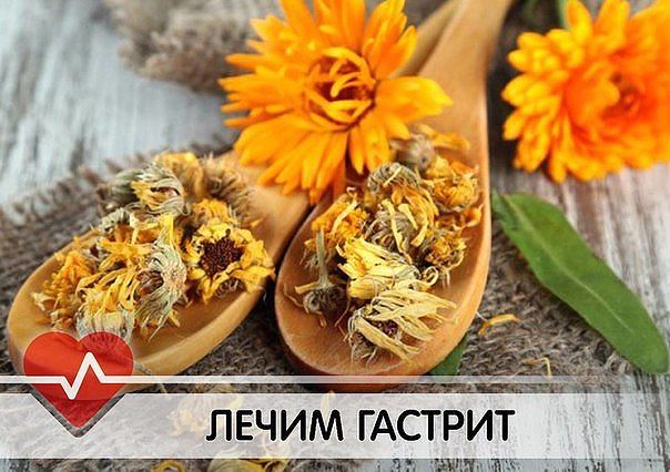 ����� ������� ������������ ����������