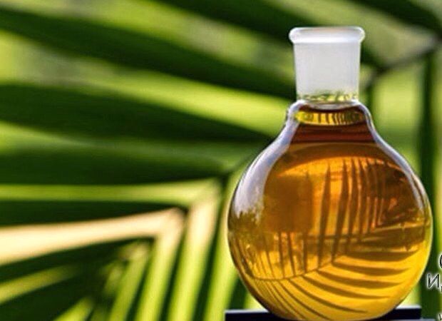 ��������� ����� - ���������� ������ ��� ����� ���