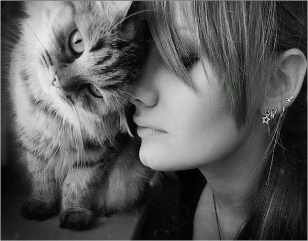 � �������� � ������