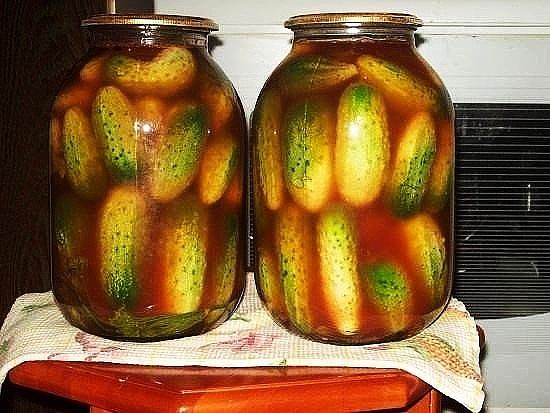 ���������������� ������ � ��������